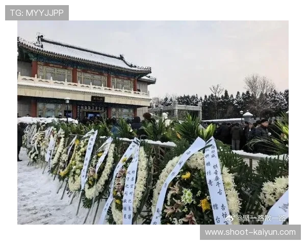 开云归安八宝山聂卫平骨灰仪式史诗级复盘数据解析